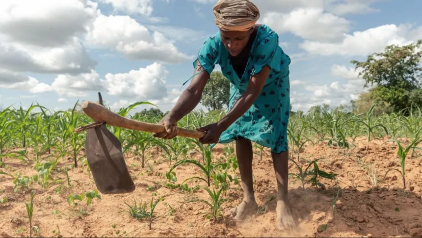 Zimbabwe’s President Mnangagwa declares national disaster over drought – More Top Stories