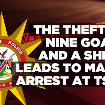 The theft of nine goats and a sheep leads to man’s arrest at Tses