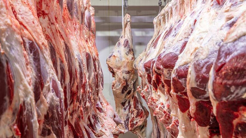 Namibian beef exports up 66.2% to 17.6 million kg in 9 months