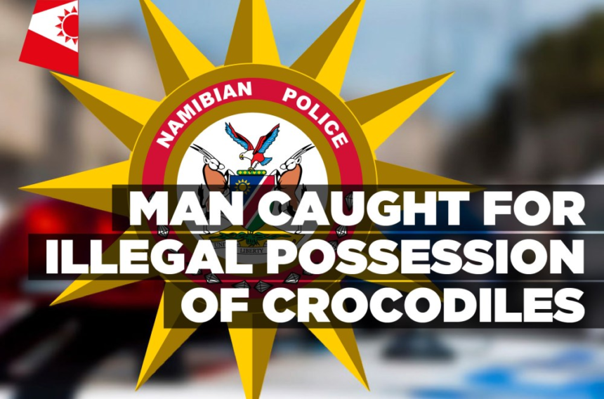 Man caught for illegal possession of crocodiles