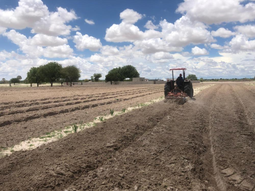 Ploughing season starts